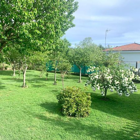 Апартаменти A Casa Vermella Con Jardin A 10 Minutos De Santiago De Compostela Ortono Екстер'єр фото